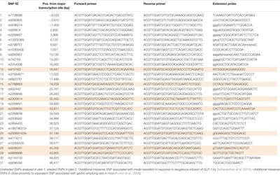 A Pilot Study Investigating the Influence of Glucagon-Like Peptide-1 Receptor Single Nucleotide Polymorphisms on Gastric Emptying Rate in Caucasian Men